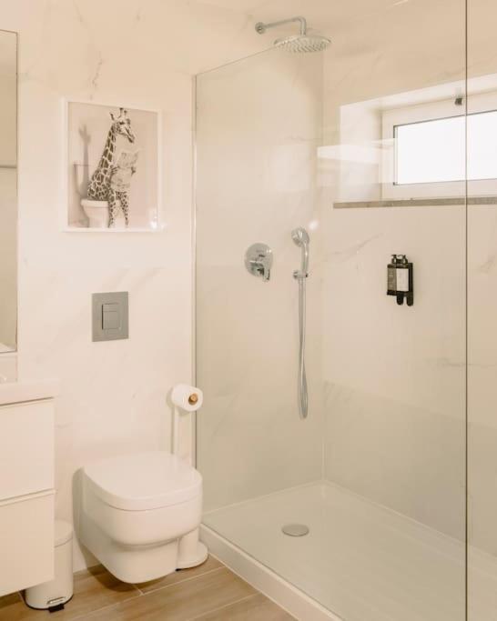 Glam House No Coracao Da Cidade 파로 외부 사진